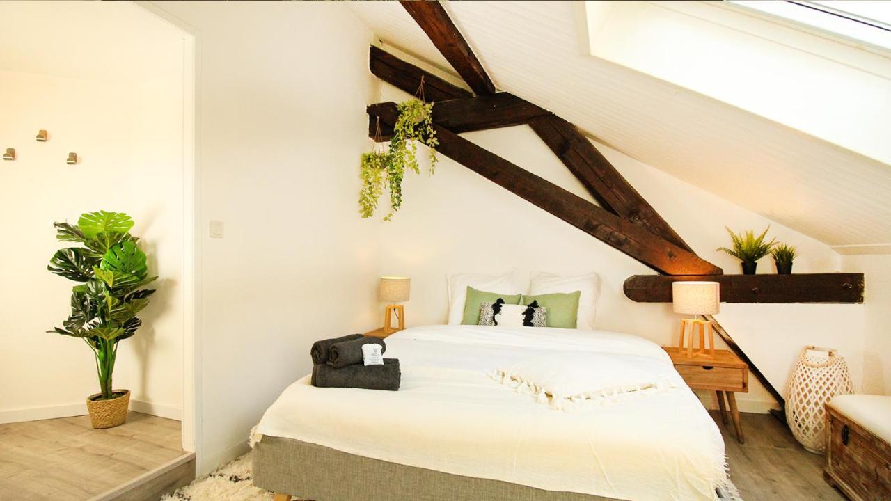 אנמסה Homey Bella - New / Duplex / Downtown / Close Geneva מראה חיצוני תמונה